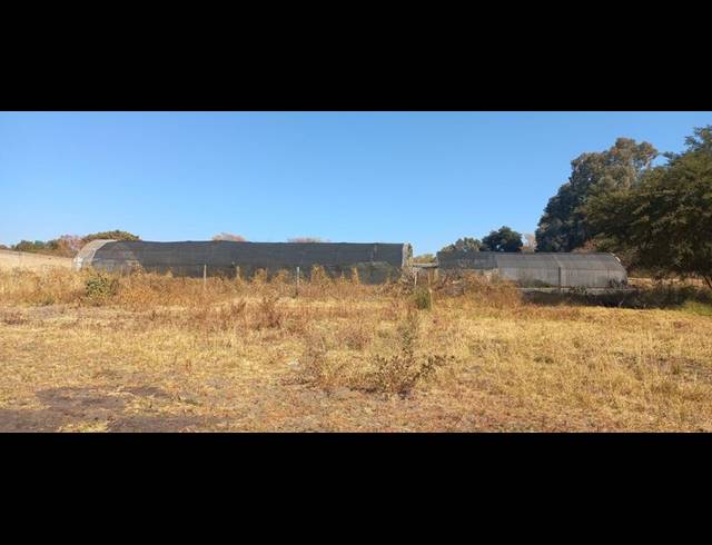 FARM FOR SALE IN LAMMERMOOR